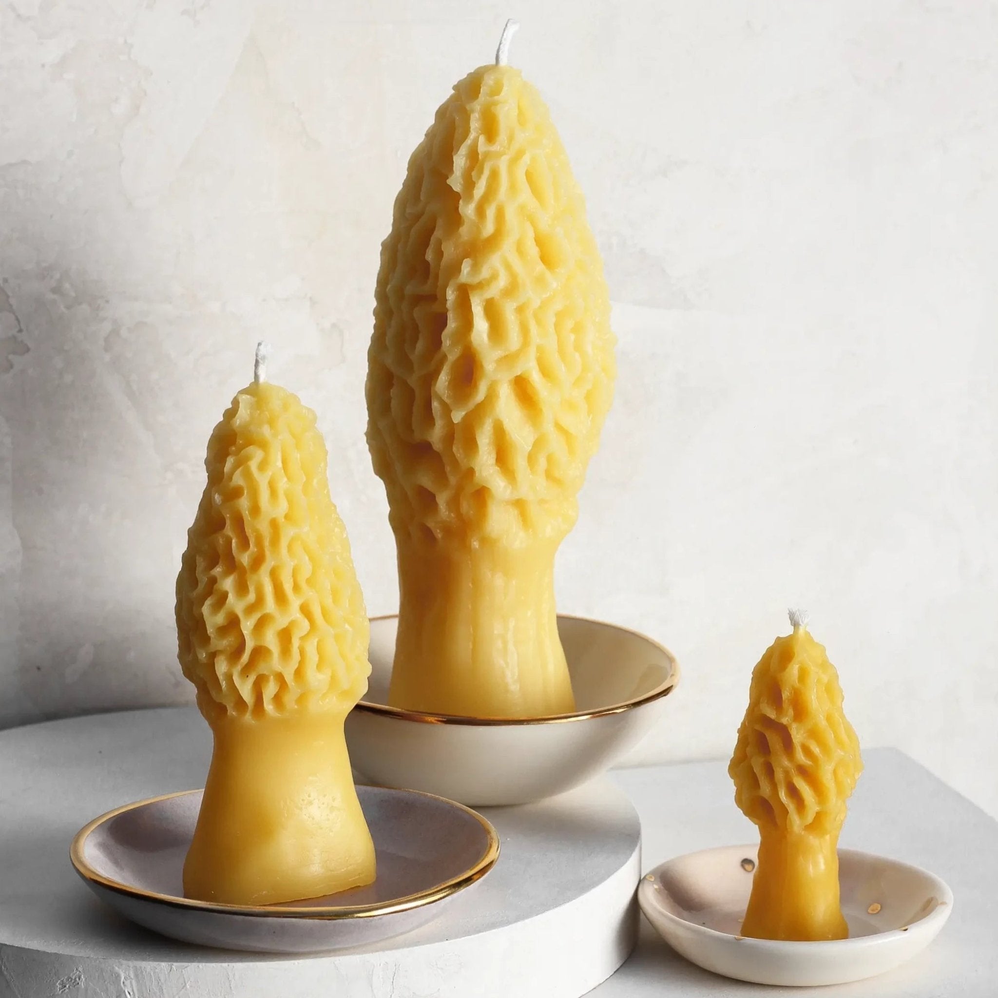 Medium Morel Beeswax Candle - Apricity Ceramics