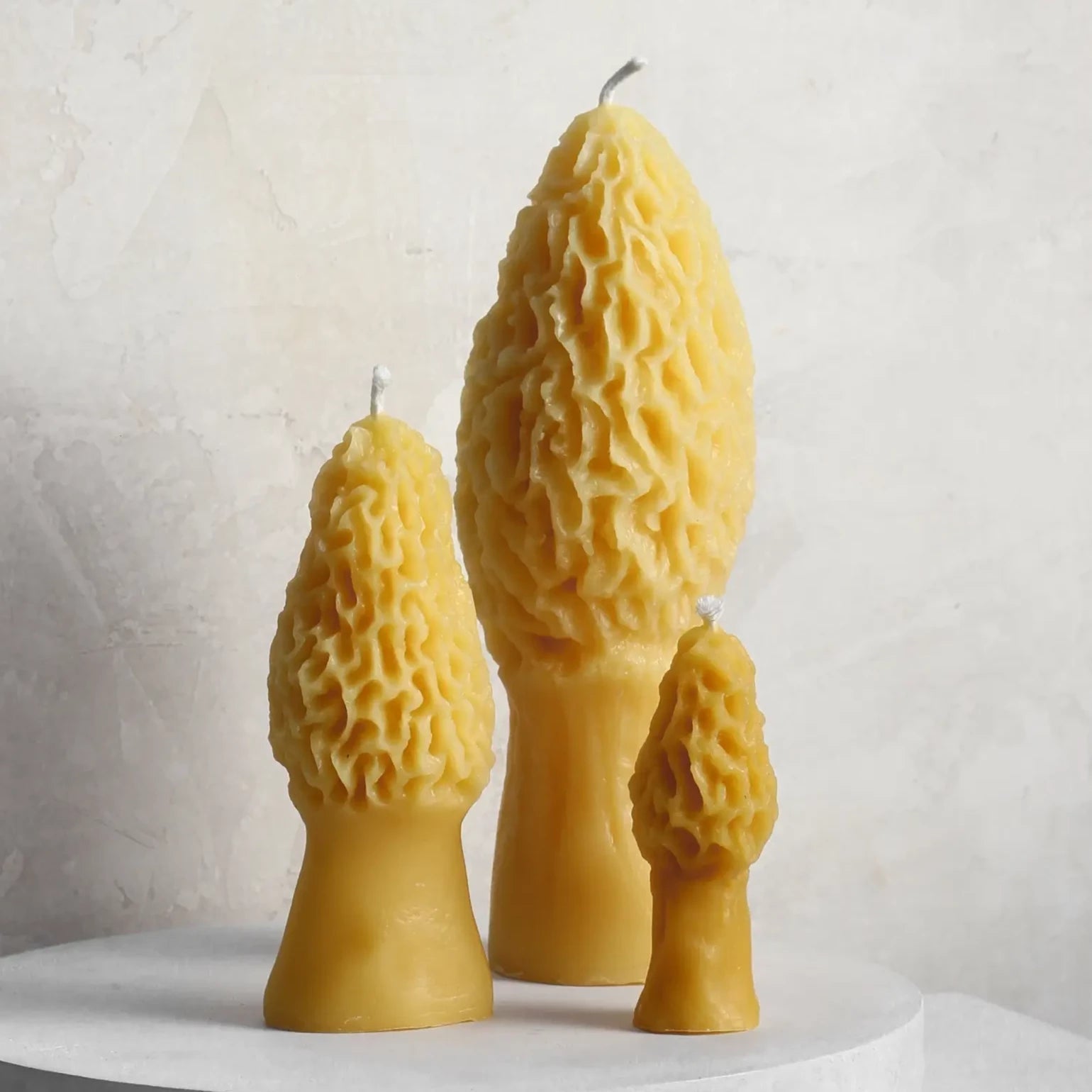 Medium Morel Beeswax Candle - Apricity Ceramics
