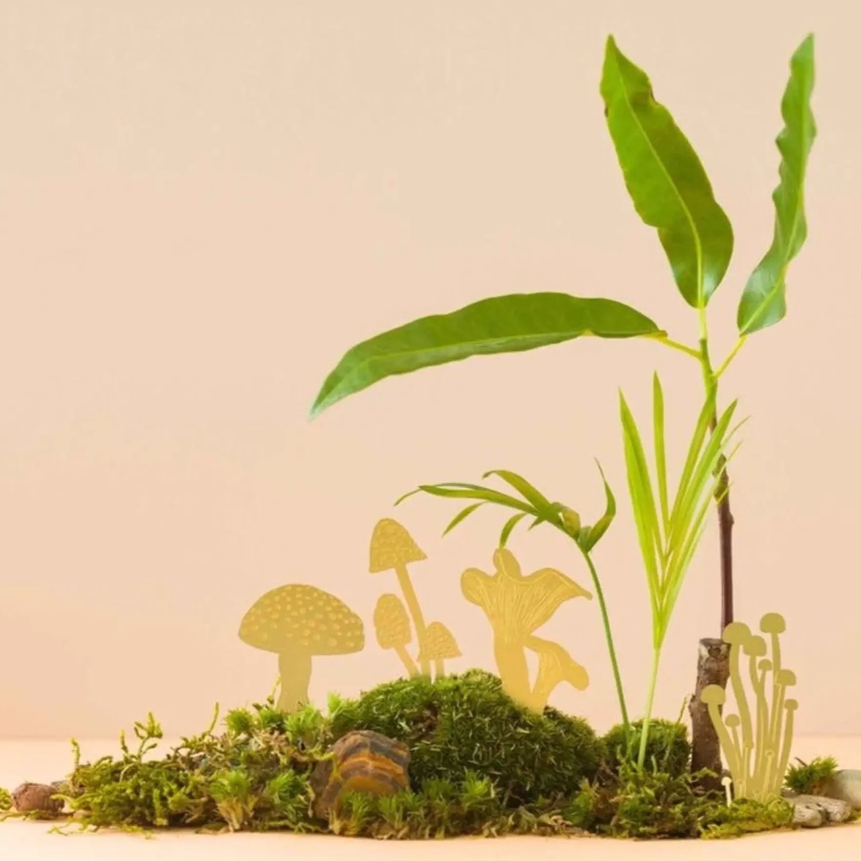 Mini Mushroom Plant Decor - Apricity Ceramics