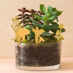 Mini Mushroom Plant Decor - Apricity Ceramics
