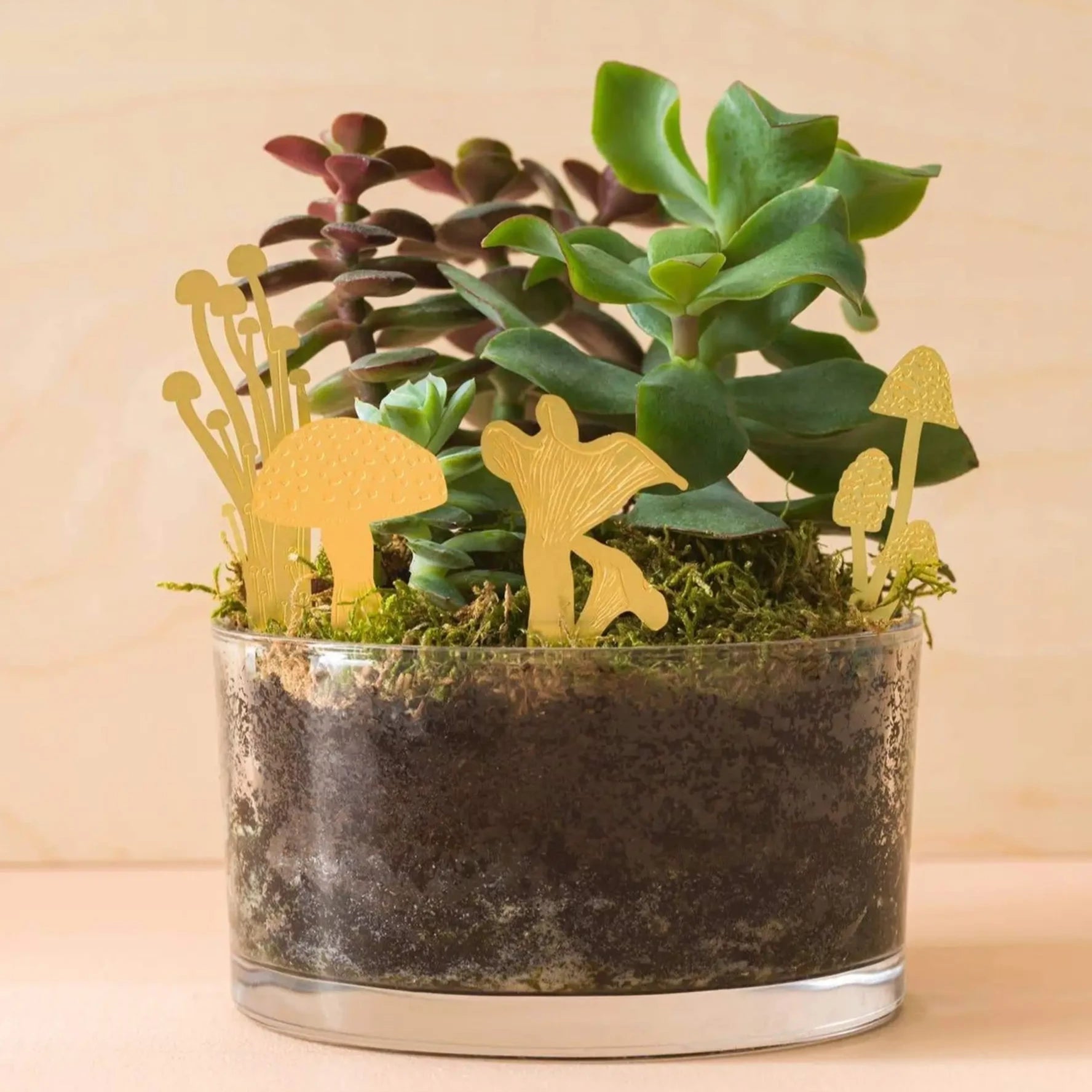 Mini Mushroom Plant Decor - Apricity Ceramics