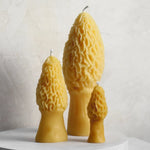 Small Morel Beeswax Candle - Apricity Ceramics