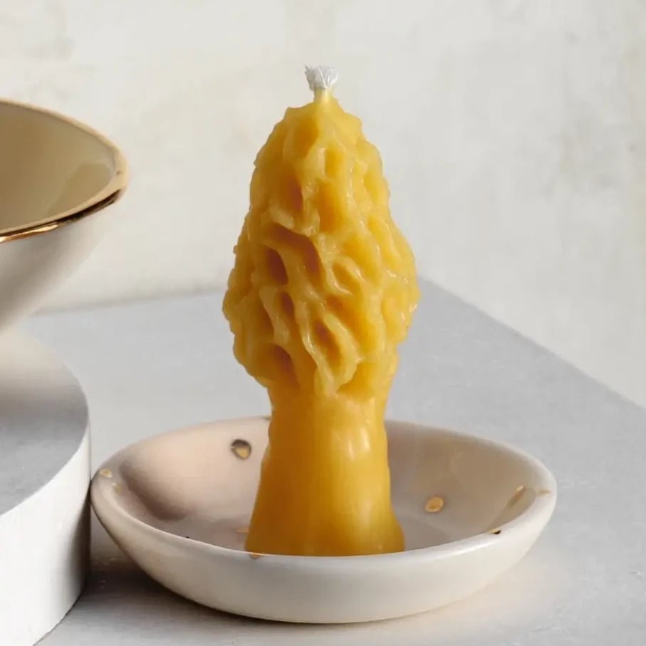 Small Morel Beeswax Candle - Apricity Ceramics