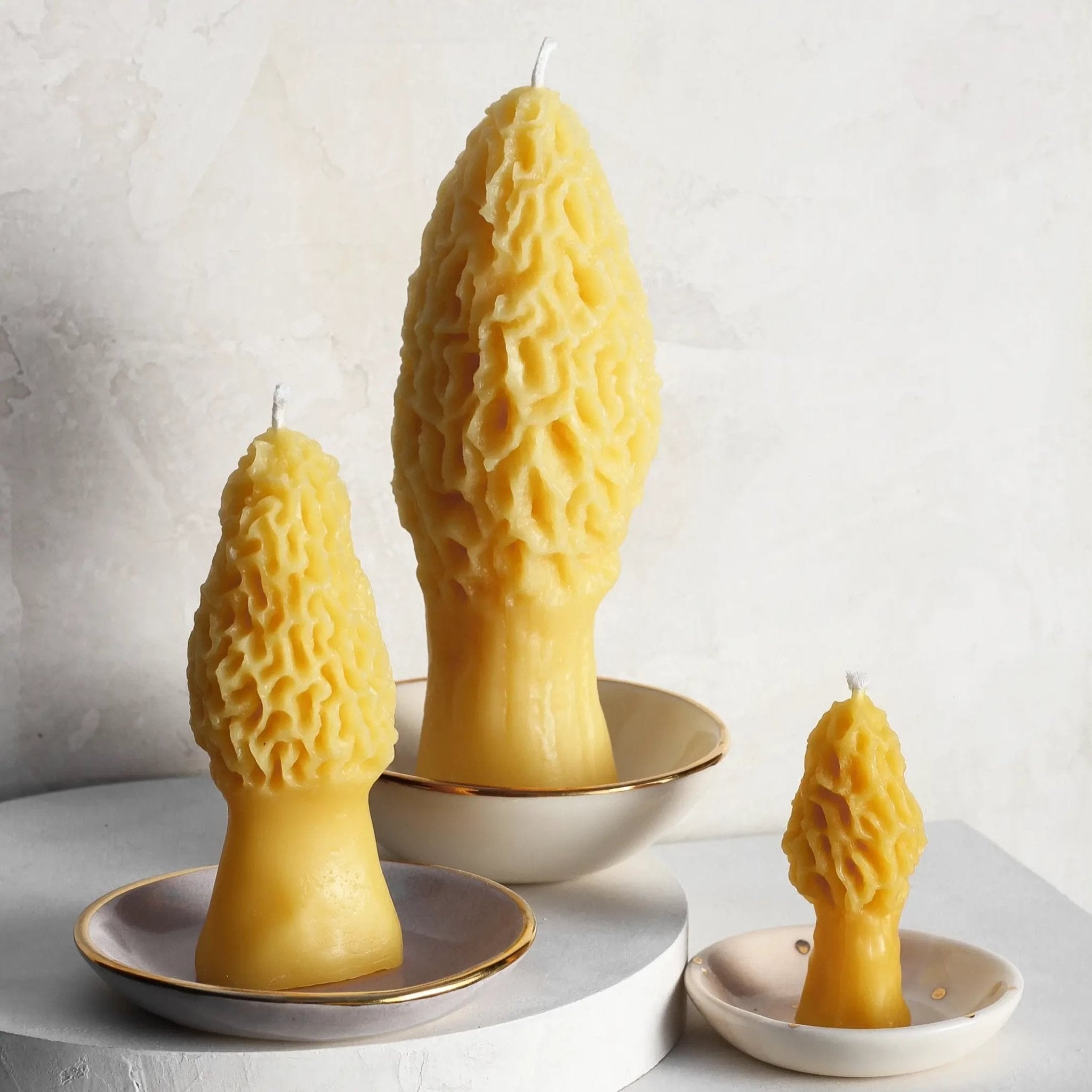 Small Morel Beeswax Candle - Apricity Ceramics