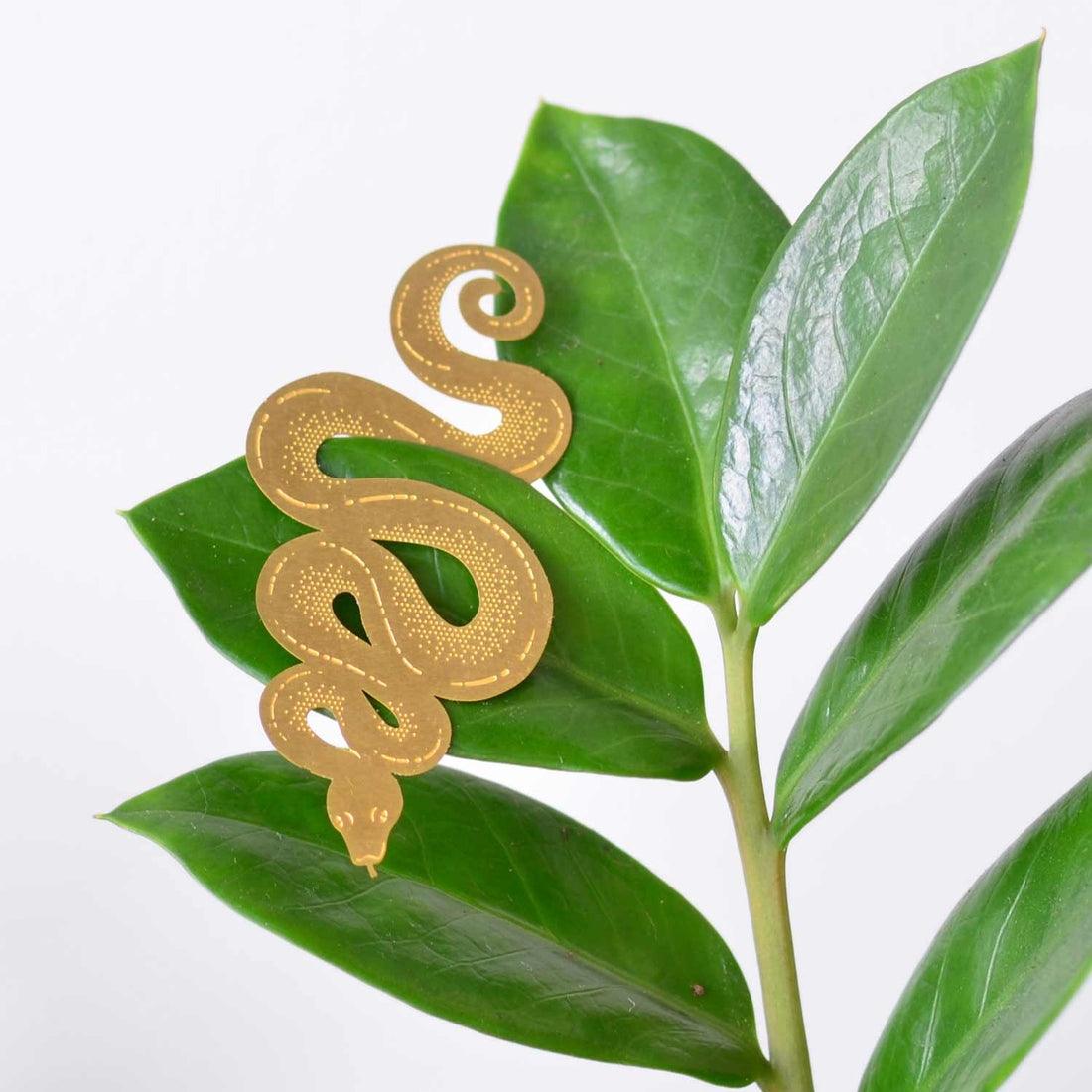 Snake Plant Animal - Apricity Ceramics