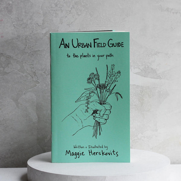 Urban Field Guide to the Plants in Your Path (Zine)