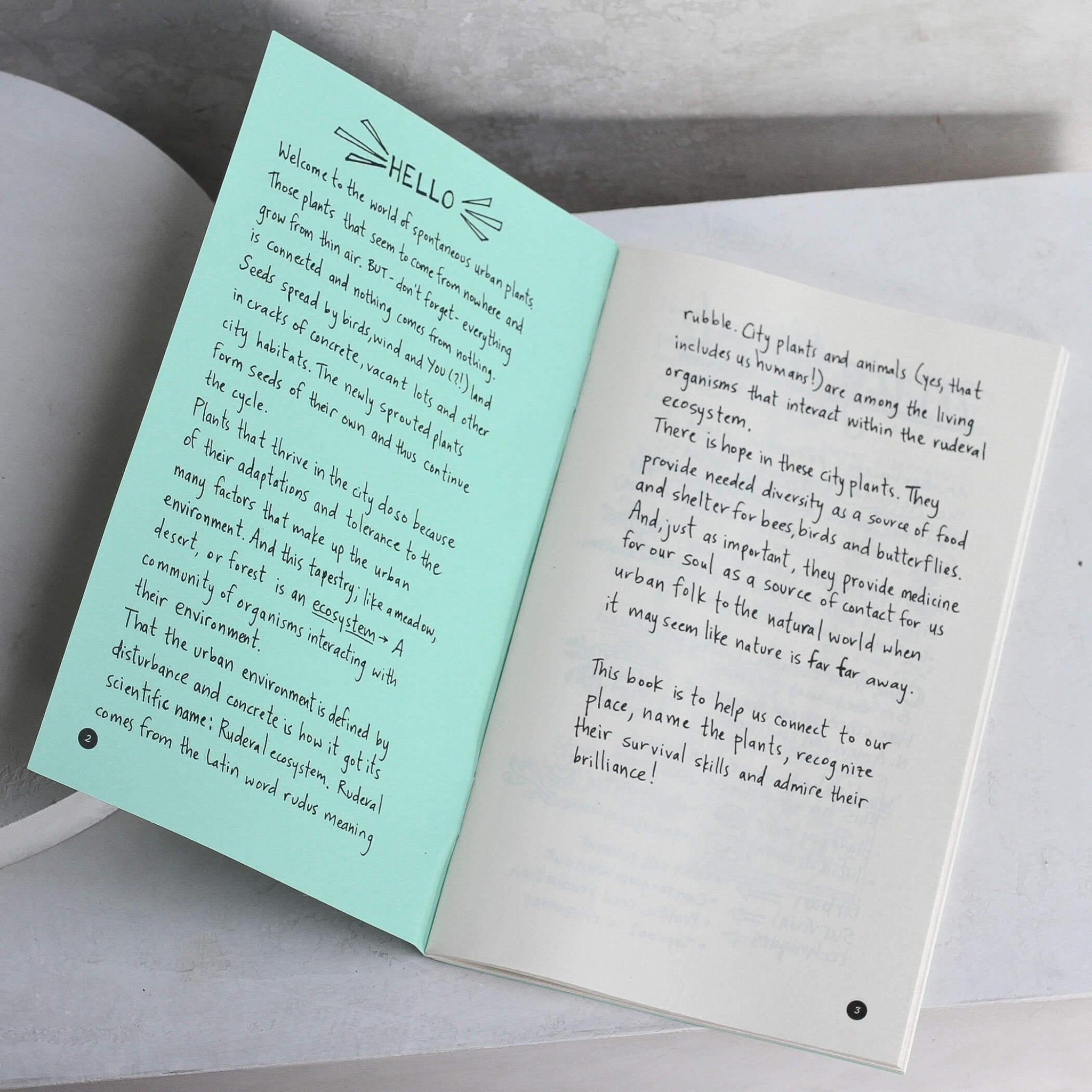 Urban Field Guide to the Plants in Your Path (Zine) - Apricity Ceramics
